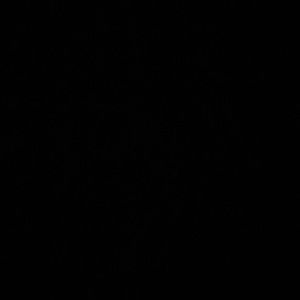 Meet your Posher, Marie-pier